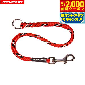 y2000~OFFN[|IX|Cgő55{I{IzC[W[hbO EZYDOG GNXeV 60cm bh [h