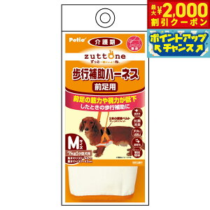 y2000~OFFN[|IX|Cgő55{I{IzyeBI zuttone Vp s⏕n[lX OpK M R L 