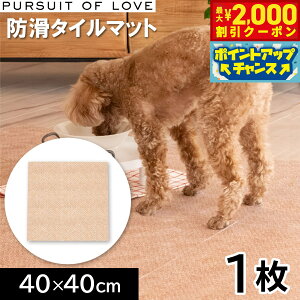 y2000~OFFN[|IX|Cgő55{I{IzPURSUIT OF LOVE pV[gIuu オ肪NȖh^C}bg 1 ^CJ[ybg VjA nr  z 􂦂 