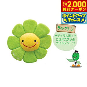 y2000~OFFN[|IX|Cgő55{I{Izm Jtt[ CgO[ p ^ 킢