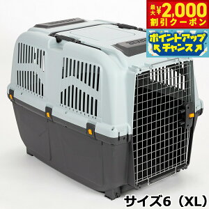 y2000~OFFN[|IX|Cgő55{I{IzMPS ybg P[W SKUDOCA^ TCY6iXLj  L ybgL[ N[g n[hL[