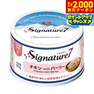 y2000~OFFN[|IX|Cgő55{I{IzVOl`[7 Lbgt[h EFbg peB^Cv i΁j `Lo[[ 80g×24ʁyz Y L EFbgt[h 