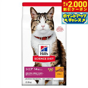 y2000~OFFN[|IX|Cgő55{I{IzTCGX _CGbg VjAAhoXh `L Lp 14Έȏ 2.8kg qY Lbgt[h hCt[h h{H F