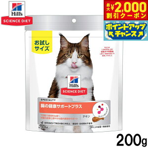 y2000~OFFN[|IX|Cgő55{I{IzqY TCGX_CGbg Lbgt[h Lp ̌NT|[g 200g