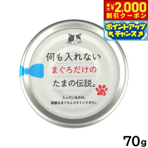 y2000~OFFN[|IX|Cgő55{I{IzȂ܂낾̂܂̓` Lbgt[h 70g Y Y EGbgt[h L