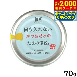 y2000~OFFN[|IX|Cgő55{I{IzȂ̂܂̓` Lbgt[h 70g Y Y EGbgt[h L