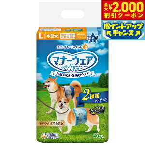 y2000~OFFN[|IX|Cgő55{I{Izj`[ }i[EFA j̎qp ^p