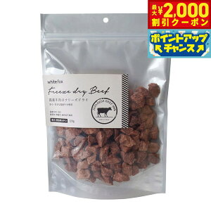 y2000~OFFN[|IX|Cgő55{I{IzzCgtHbNX Ỹt[YhC _CXJbg 120g  L  育 gbsO Y Y F ۑ