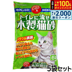 y12/5II100|CgobNő2000~OFFN[|z헤H gCɗؐL 6L×5܃Zbg