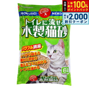 y12/5II100|CgobNő2000~OFFN[|z헤H gCɗؐL 6L Lpi ˂ObY ybgObY ybgpi