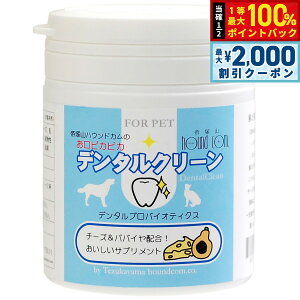 y12/5II100|CgobNő2000~OFFN[|zO[[hbOA[X Tvg ҂҂ f^N[ `[Y 90g  f^PA  Y Y L