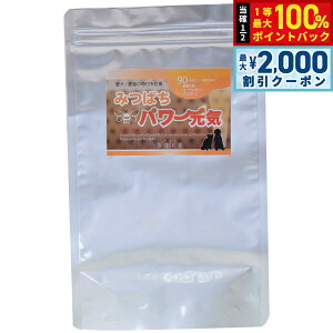 y12/5II100|CgobNő2000~OFFN[|zO[[hbOA[X Tvg ݂΂p[C iV[|}bNXj 300g VjA  GCWOPA v