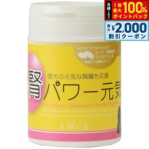 y12/5II100|CgobNő2000~OFFN[|zO[[hbOA[X Tvg tp[C 90g  t Y_Ȃgp IK3 RGUCQ10 L y