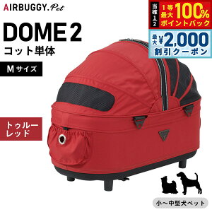 y12/5II100|CgobNő2000~OFFN[|zGAoM[ h[2 Rbg GAoM[ P M gD[bhyzAIRBUGGY ybgJ[g  L AD1520