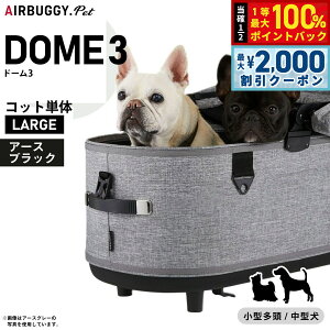 y12/5II100|CgobNő2000~OFFN[|zGAoM[ tH[ ybg h[3 RbgP [W A[XubNyzAIRBUGGY ybgJ[g  L AD2501