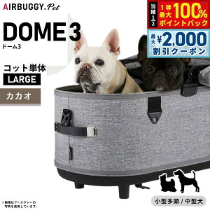 y12/5II100|CgobNő2000~OFFN[|zGAoM[ h[3 Rbg P [W JJIyzAIRBUGGY ybgJ[g  L AD2506