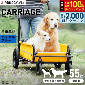 y12/5II100|CgobNő2000~OFFN[|zGAoM[ tH[ hbO LbWiCARRIAGEj ԒPi Cu[yz ybgJ[g AIRBUGGY AD3032