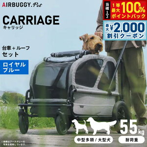 y12/5II100|CgobNő2000~OFFN[|zGAoM[ tH[ ybg LbWiCARRIAGEj Zbgiԁ{[tj Cu[ ybgJ[g AIRBUGGY AD3052