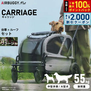 y12/5II100|CgobNő2000~OFFN[|zGAoM[ tH[ hbO LbWiCARRIAGEj Zbgiԁ{[tj Jt[W ybgJ[g AIRBUGGY AD3054