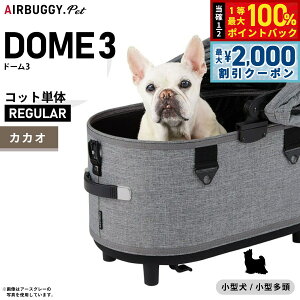 y12/5II100|CgobNő2000~OFFN[|zGAoM[ h[3 Rbg GAoM[ P M[ JJIyzAIRBUGGY ybgJ[g  L AD3106