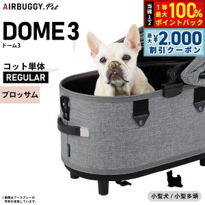 y12/5II100|CgobNő2000~OFFN[|zGAoM[ h[3 Rbg GAoM[ P M[ ubTyzAIRBUGGY ybgJ[g  L AD3110