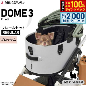 y12/5II100|CgobNő2000~OFFN[|zGAoM[ tH[ ybg h[3 Zbg M[ ubT AIRBUGGY ybgJ[g  L  ܂肽 AD3210