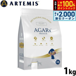 y12/10II100|CgobNő2000~OFFN[|zA[e~X AKNXI/S ʗ 1kg hbOt[h pi/ybgpi