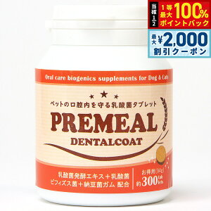 y12/5II100|CgobNő2000~OFFN[|zv~[ f^R[g pi300^ubgj  Tvg _  ^ubg f^PA Y