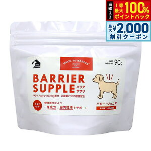 y12/10II100|CgobNő2000~OFFN[|zoATv hbO ps[ WjA 90g  Tvg Y Y _ SNp I[u[h