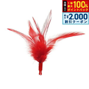 y12/5II100|CgobNő2000~OFFN[|zt@^W[[h Lp t@^W[fB[oOXyAtFU[ [X^[tFU[ L TOY lR  d