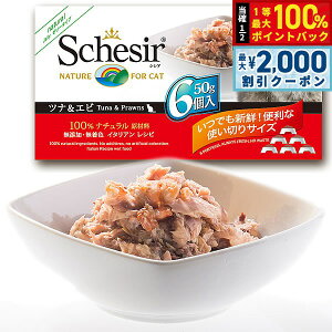 y12/5II100|CgobNő2000~OFFN[|zSchesiriVVAjLbgV[Y }`pbN ciGr 50g×6 L Lbgt[h EFbg Lpi/˂ObY/ybg