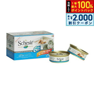 y12/5II100|CgobNő2000~OFFN[|zSchesiriVVAjLbgV[Y }`pbN ci 50g×6 L Lbgt[h EFbg Lpi/˂ObY/ybgpi