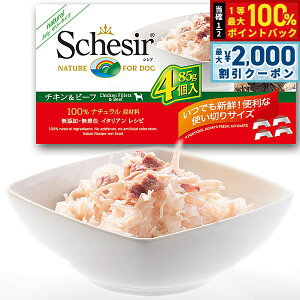 y12/5II100|CgobNő2000~OFFN[|zSchesiriVVAjhbOV[Y }`pbN `Lr[t 85g×4 hbOt[h EFbgt[h ʋl Y pi/yb