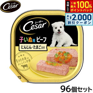 y12/5II100|CgobNő2000~OFFN[|zV[U[ hbOt[h gC 2̎qp r[t ɂ񂶂 ܂ 100g×96Zbgyz ʋl