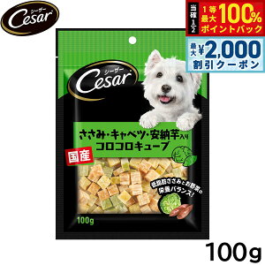 y12/10II100|CgobNő2000~OFFN[|zV[U[ p XibN  Lxc [RRL[u 100g ʋl