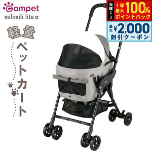 y12/5II100|CgobNő2000~OFFN[|zRybg ~~Cg At@ ybgJ[g EFbgThx[W ^ L  ܂ ybgoM[ J[g 