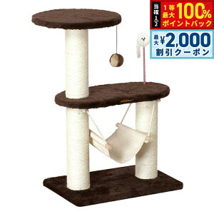 y12/5II100|CgobNő2000~OFFN[|zLeB[} LeB[XNb`rO RpNgnbNyz L  Lbg^[