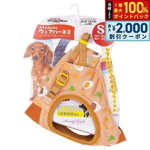 y12/5II100|CgobNő2000~OFFN[|zhM[} HL05 Ƃ񂯂EFAn[lX SS ^