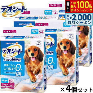 y12/5II100|CgobNő2000~OFFN[|zj `[ fIV[g 蒴z L^Cv Ch 54×4Zbg ybgV[c gCV[c p