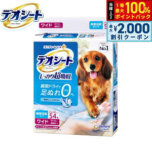 y12/5II100|CgobNő2000~OFFN[|zj `[ fIV[g 蒴z L^Cv Ch 54 ybgV[c gCV[c p