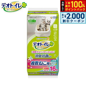 y12/5II100|CgobNő2000~OFFN[|zj `[ fIgC ˂p ӂ荁L RۃV[g i`K[f̍ 16 Lp VXegC