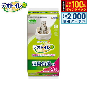 y12/5II100|CgobNő2000~OFFN[|zj `[ fIgC L RۃV[g 20 Lp VXegC