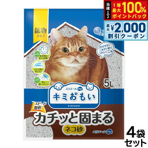 y12/5II100|CgobNő2000~OFFN[|zGG[ L~ J`bƌł܂ lR 5L×4܁yz