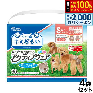 y12/5II100|CgobNő2000~OFFN[|zGG[ L~ ANeBuEFA SSS-S 30×4܁yz