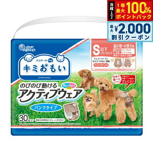 y12/5II100|CgobNő2000~OFFN[|zGG[ L~ ANeBuEFA SSS-S 30