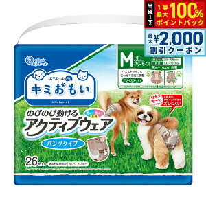 y12/5II100|CgobNő2000~OFFN[|zGG[ L~ ANeBuEFA M-L 26