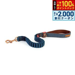 y12/5II100|CgobNő2000~OFFN[|zC[W[hbO EZY DOG [VbN [h 64cm fjyzLk@\t