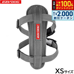 y12/5II100|CgobNő2000~OFFN[|zC[W[hbO EZYDOG n[lX XS OCyz `FXgv[g   ^