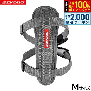 y12/5II100|CgobNő2000~OFFN[|zC[W[hbO EZYDOG n[lX M OCyz `FXgv[g   ^