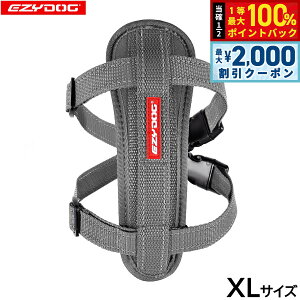 y12/5II100|CgobNő2000~OFFN[|zC[W[hbO EZYDOG n[lX XL OCyz `FXgv[g   ^